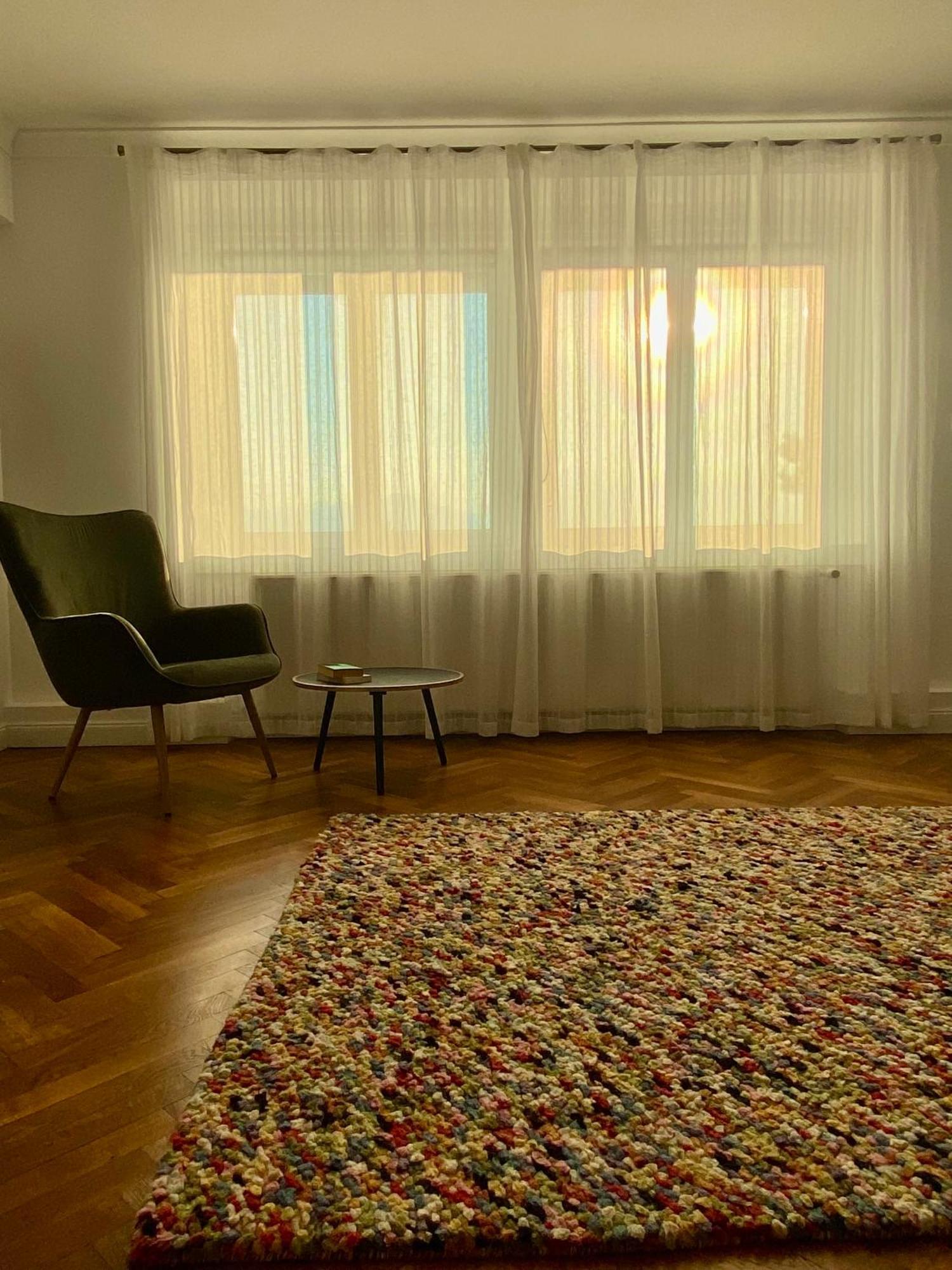 Cloos - Elegant Residence With Panoramic View ブラショフ エクステリア 写真